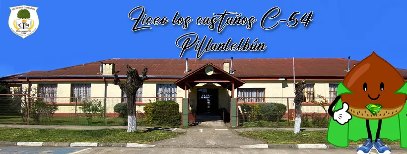 Copa por la Sana Convivencia Escolar